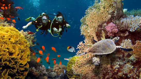 PADI diving medical at Motor Medicals for asthmatic and non-asthmatic divers