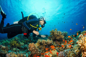 Motor Medicals doctor conducting a professional diving medical assessment – www.motormedicals.com – Call 0161 241 9622 – Medicals from £55