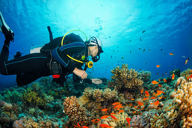 Motor Medicals doctor conducting a professional diving medical assessment – www.motormedicals.com – Call 0161 241 9622 – Medicals from £55