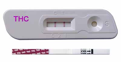 Saliva drug test kit used for workplace screening